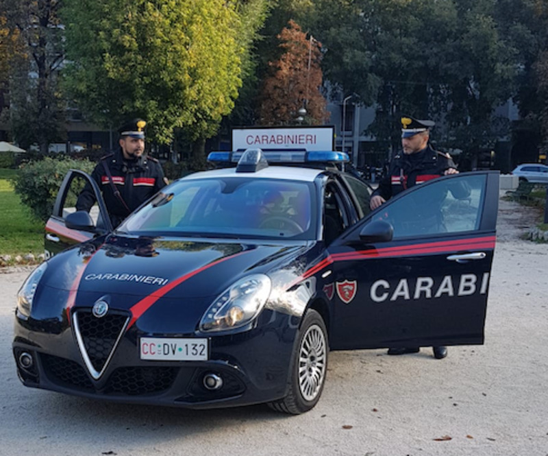 Cremona Sera - Nella “scuderia” dei Carabinieri di Cremona e Crema ...