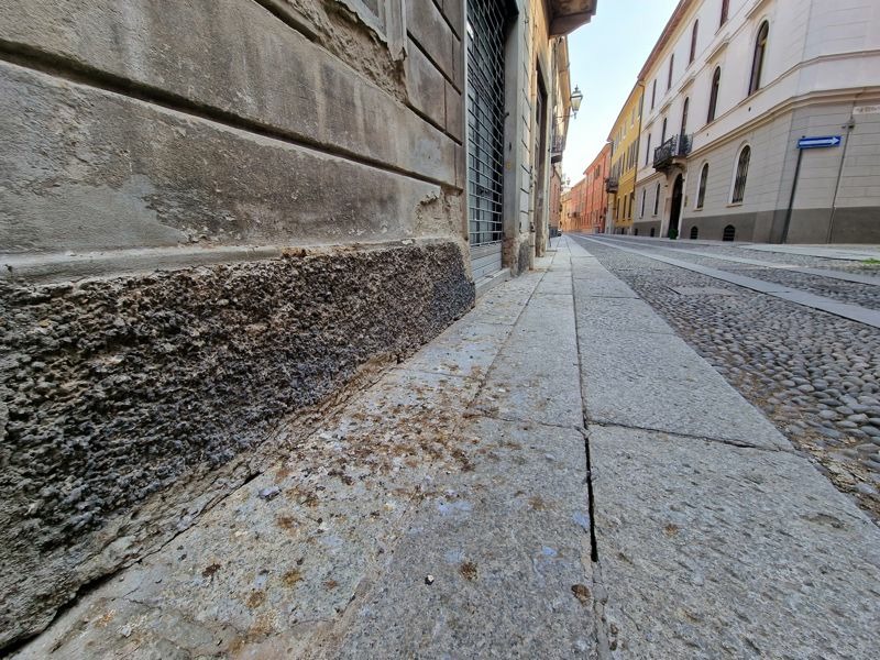 Cremona Sera - Morìa di piccioni nelle vie del centro storico, all