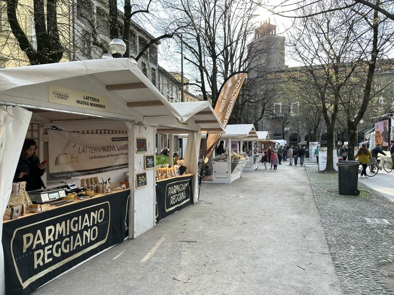 Formaggiera Grande Parmigiano Reggiano - Latteria Nuova Mandrio