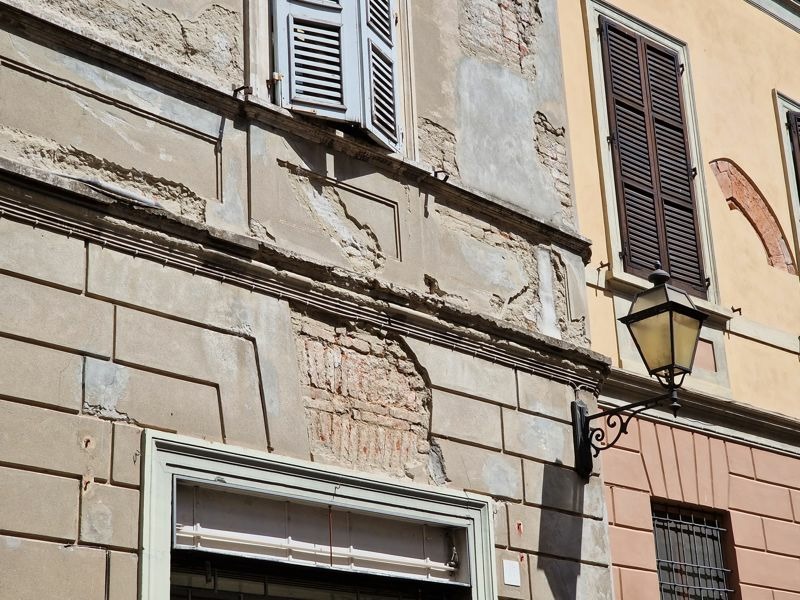 Cremona Sera - Morìa di piccioni nelle vie del centro storico, all